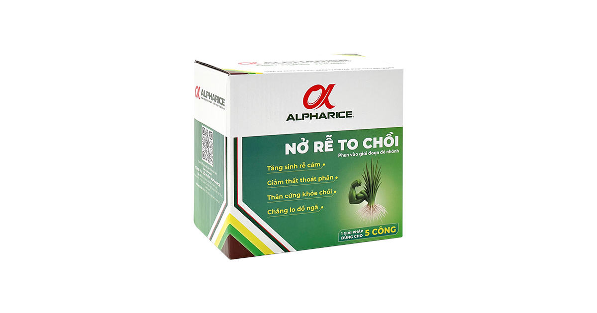 NỞ RỄ TO CHỒI