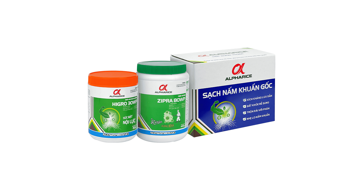 SẠCH NẤM KHUẨN GỐC