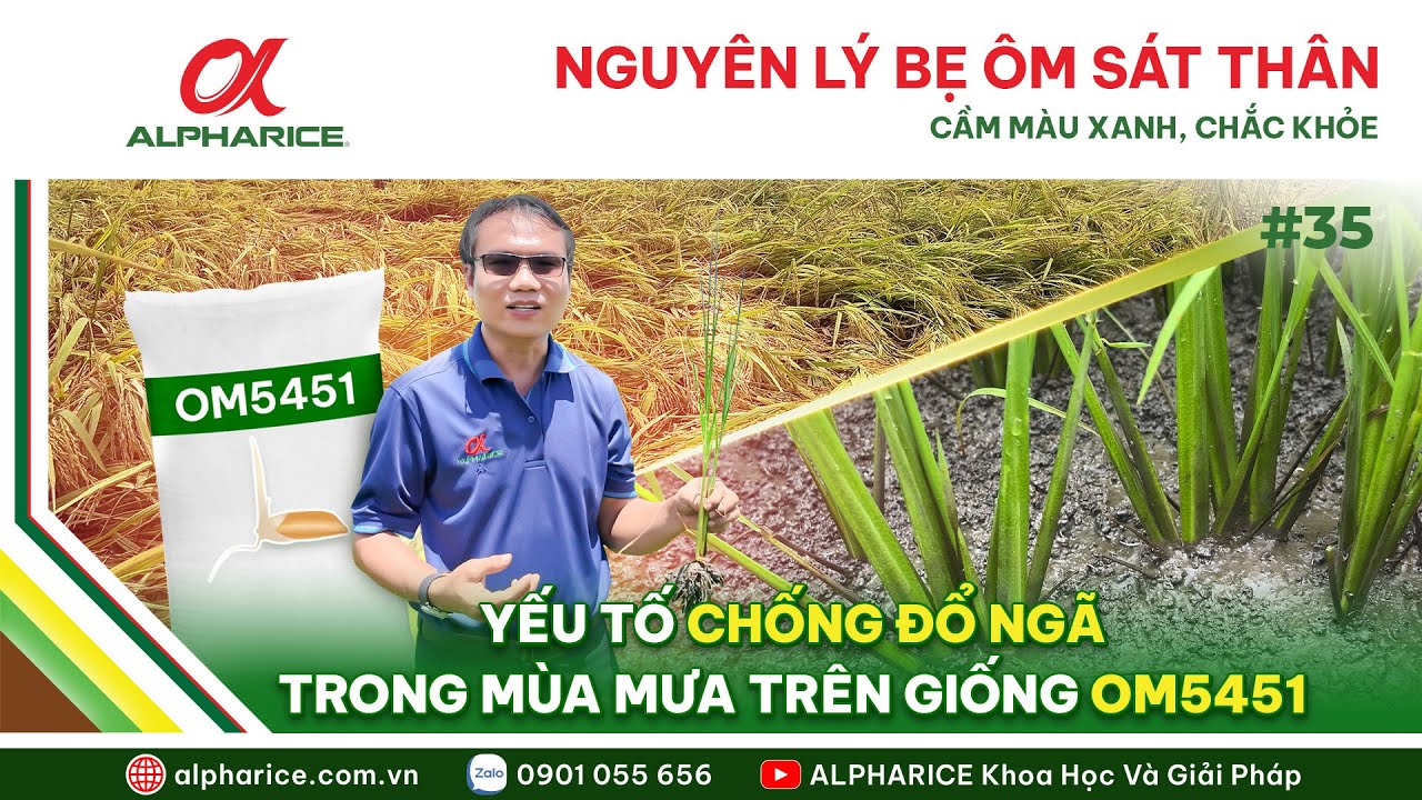 NGUYÊN LÝ ÔM BẸ SÁT, BÓ CHẶT, CẦM MÀU XANH