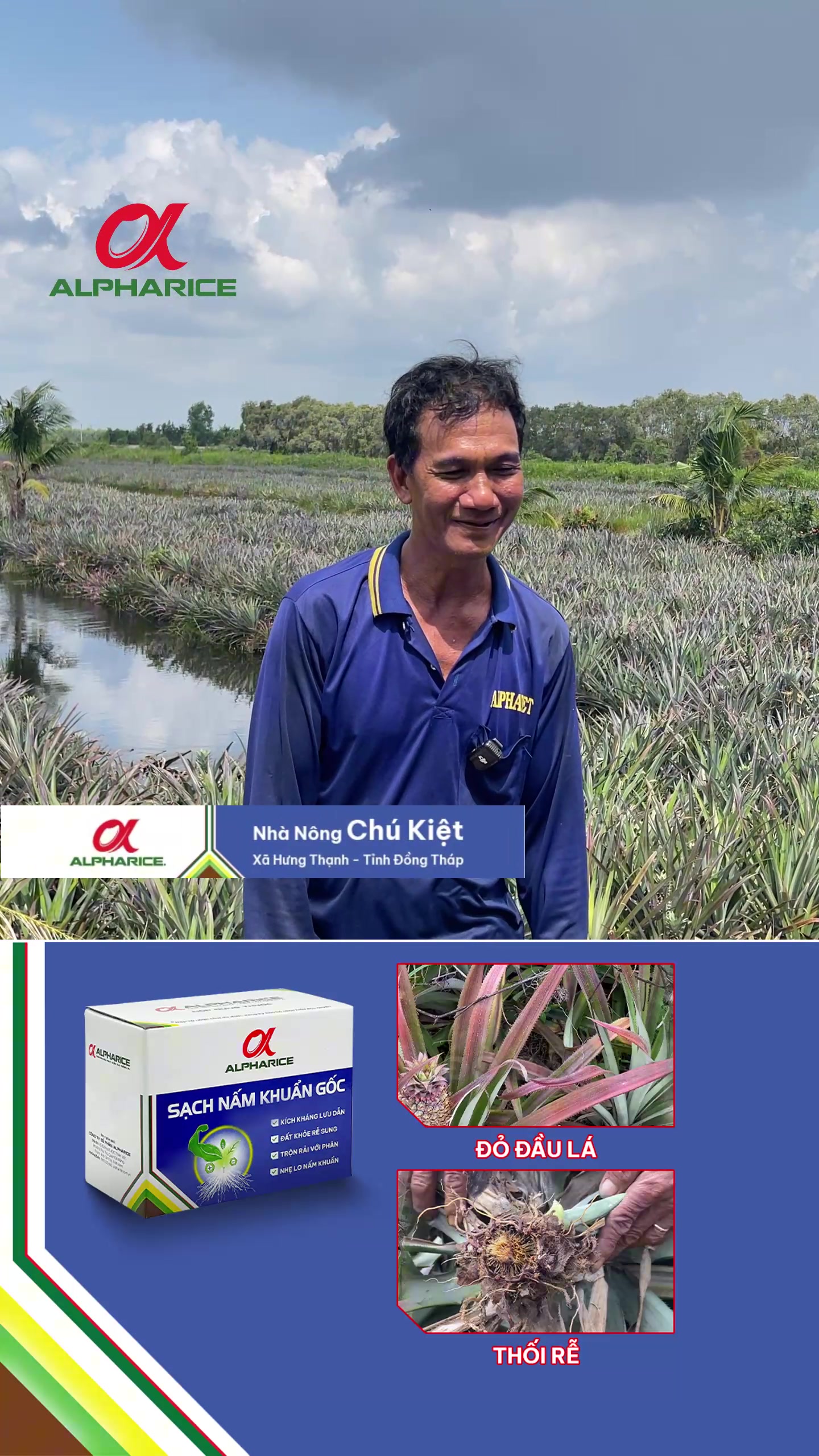 Sau khi sử dụng SẠCH NẤM KHUẨN GỐC bà con nói gì?