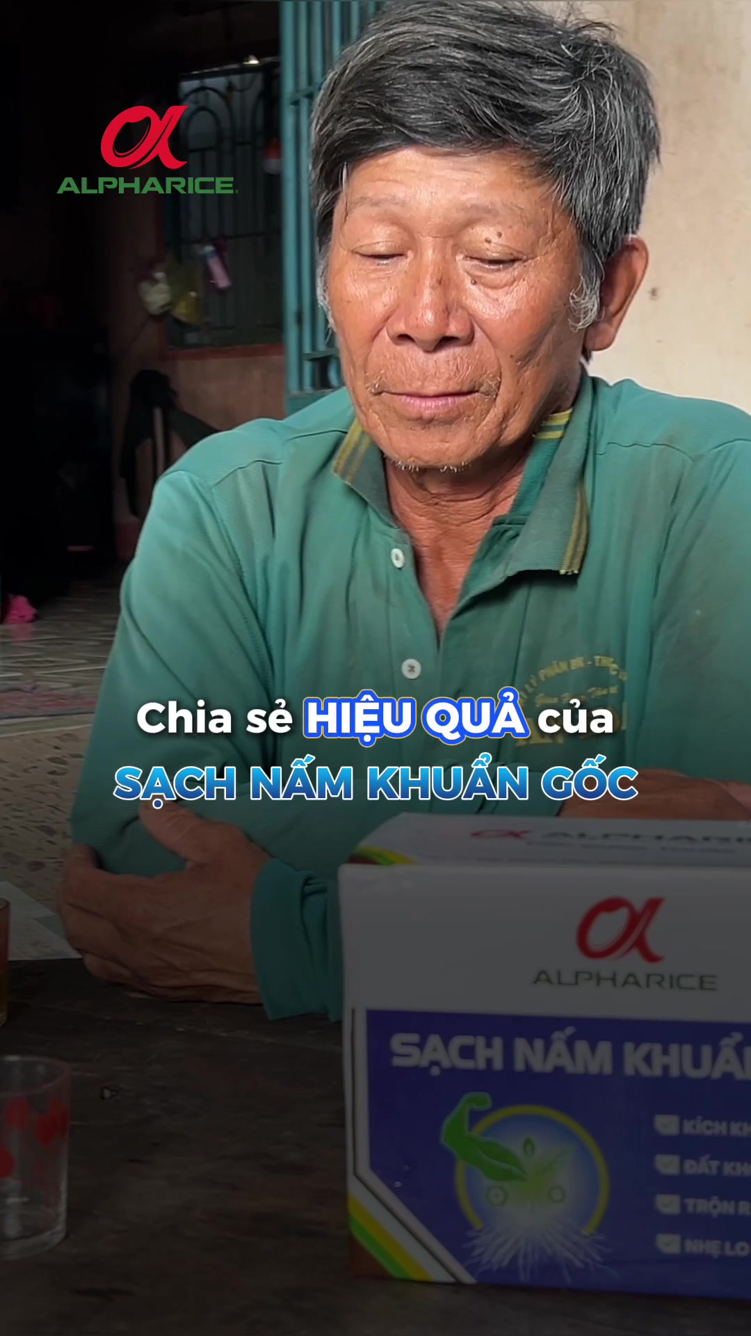 Nỗi lo bệnh đỏ lá, thối rễ của nông dân trồng khóm