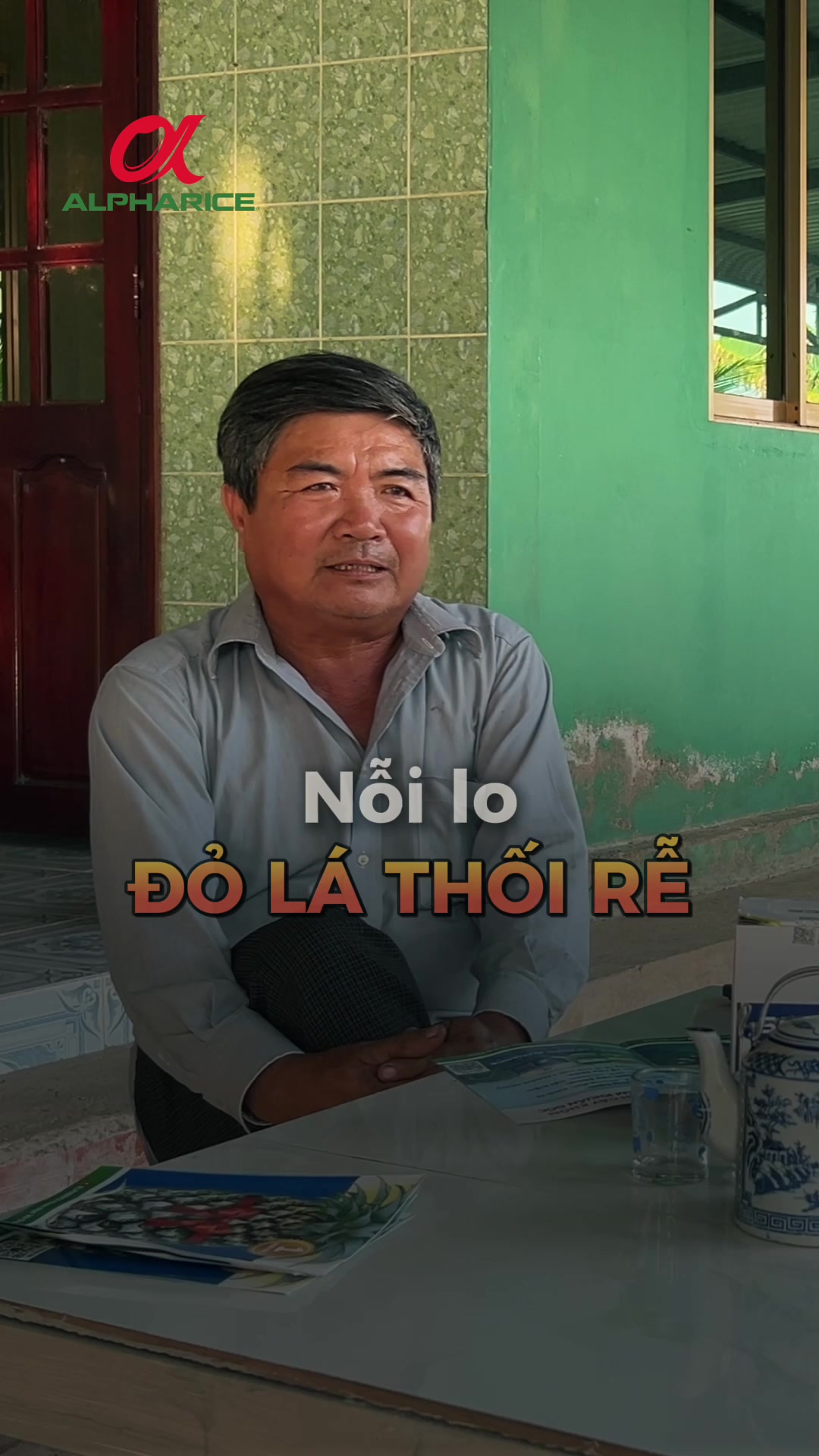 BỆNH ĐỎ LÁ, THỐI RỄ GÂY THIỆT HẠI NHƯ THẾ NÀO?