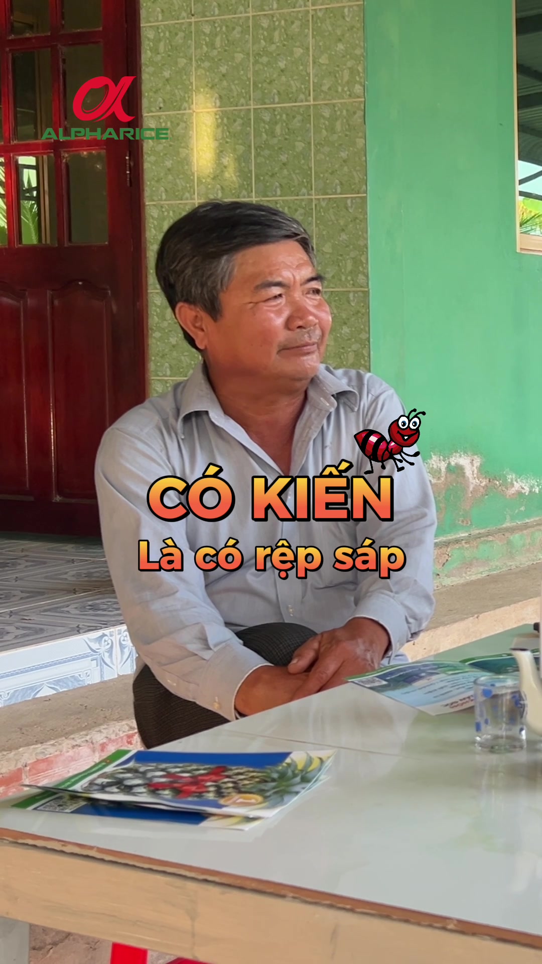 "RỆP SÁP" TRÊN CÂY KHÓM CÓ ĐÁNG LO LẮNG?