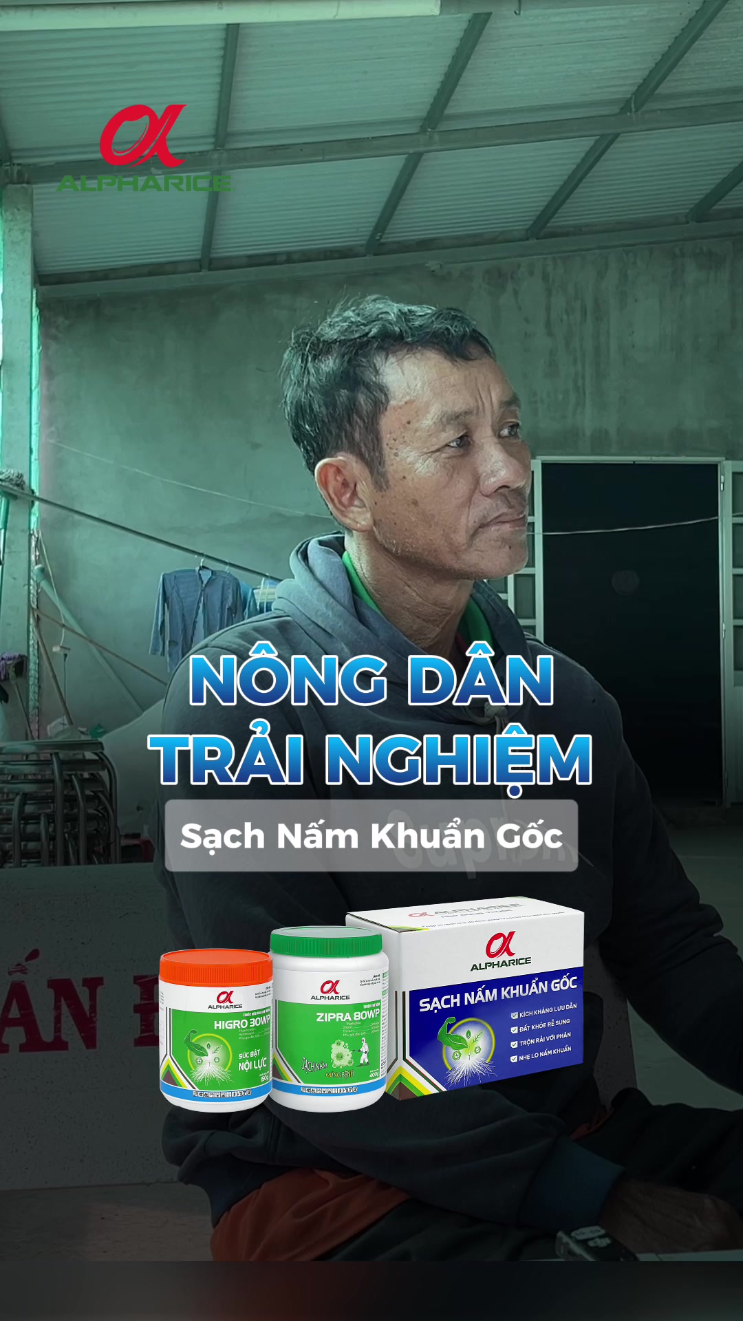 TRÃI NGHIỆM THỰC TẾ SAU KHI SỬ DỤNG SẠCH NẤM KHUẨN GỐC CỦA NÔNG DÂN TRỒNG KHÓM TÂN PHƯỚC