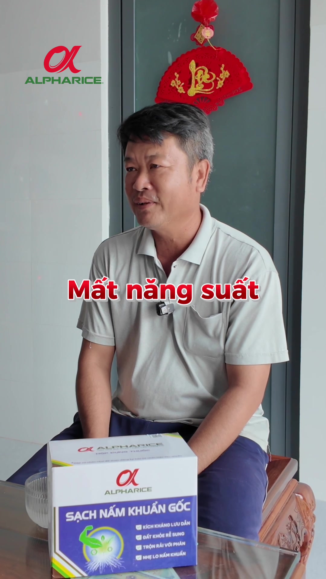 GÓC NHÌN NHÀ NÔNG: NỖI LO XÌ PHÈN LÀM KHÓM ĐỎ LÁ, THỐI RỄ NẶNG HƠN