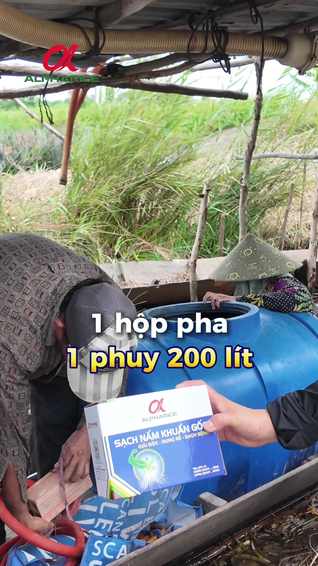 CÁCH SỬ DỤNG SẠCH NẤM KHUẨN GỐC