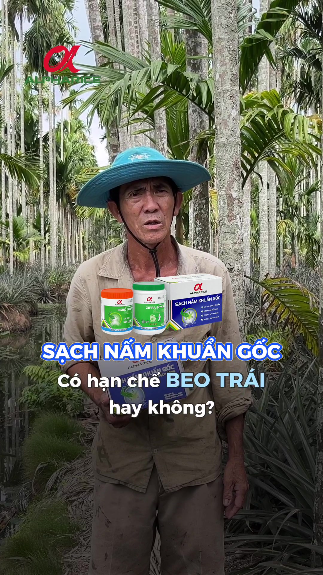 SẠCH NẤM KHUẨN GỐC CÓ HẠN CHẾ BEO TRÁI HAY KHÔNG?