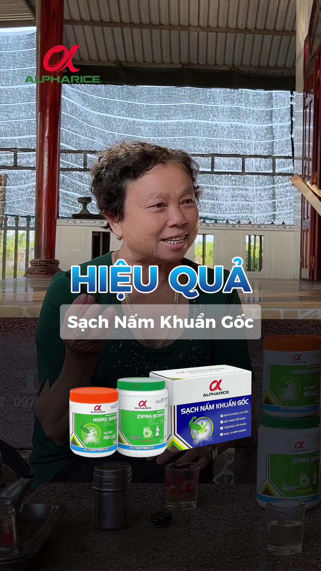 "NÓ KHÔNG ĐỎ LÁ, CÂY KHÔNG BỊ BỆNH LÀ NÓ NGON LÀNH" CHIA SẺ CỦA NÔNG DÂN TRỒNG KHÓM