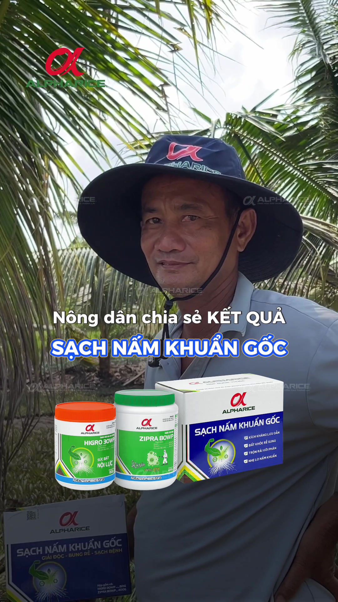 KHÓM PHỤC HỒI 80% SAU KHI SỬ DỤNG SẠCH NẤM KHUẨN GỐC, CHIA SẺ TỪ NÔNG DÂN