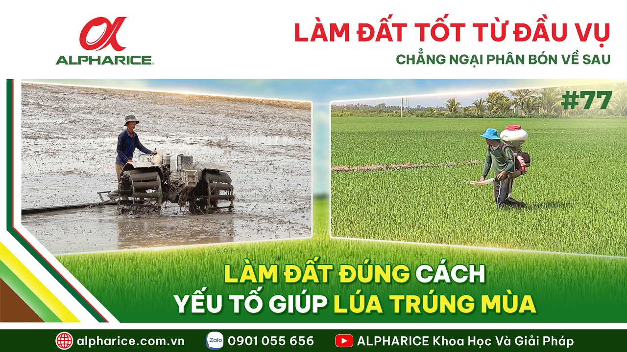 LÀM TỐT ĐẤT TỪ ĐẦU VỤ - CHẲNG NGẠI PHÂN BÓN VỀ SAU