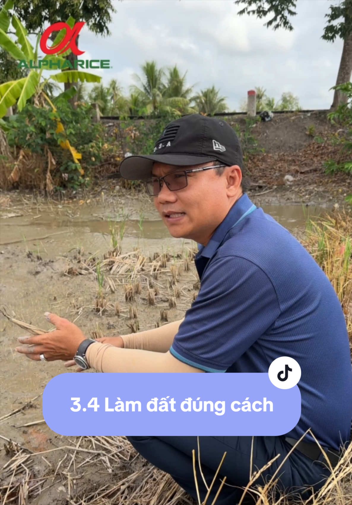 Làm đất đúng cách - Mở lối cho vụ mùa bội thu