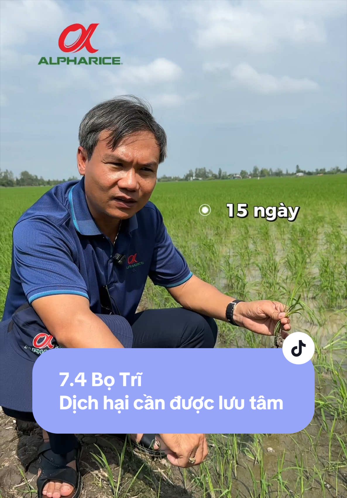 Bọ Trĩ - Vụ Hè Thu diễn biến ra sao