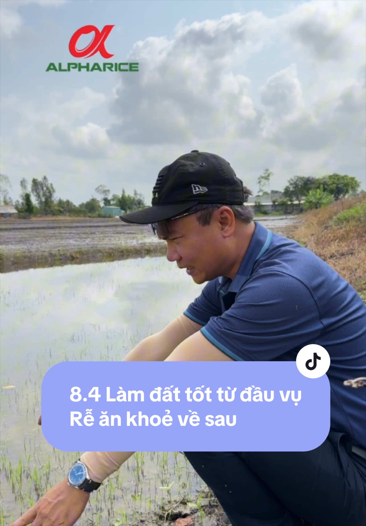 Đất tốt đầu vụ - Rễ khỏe về sau