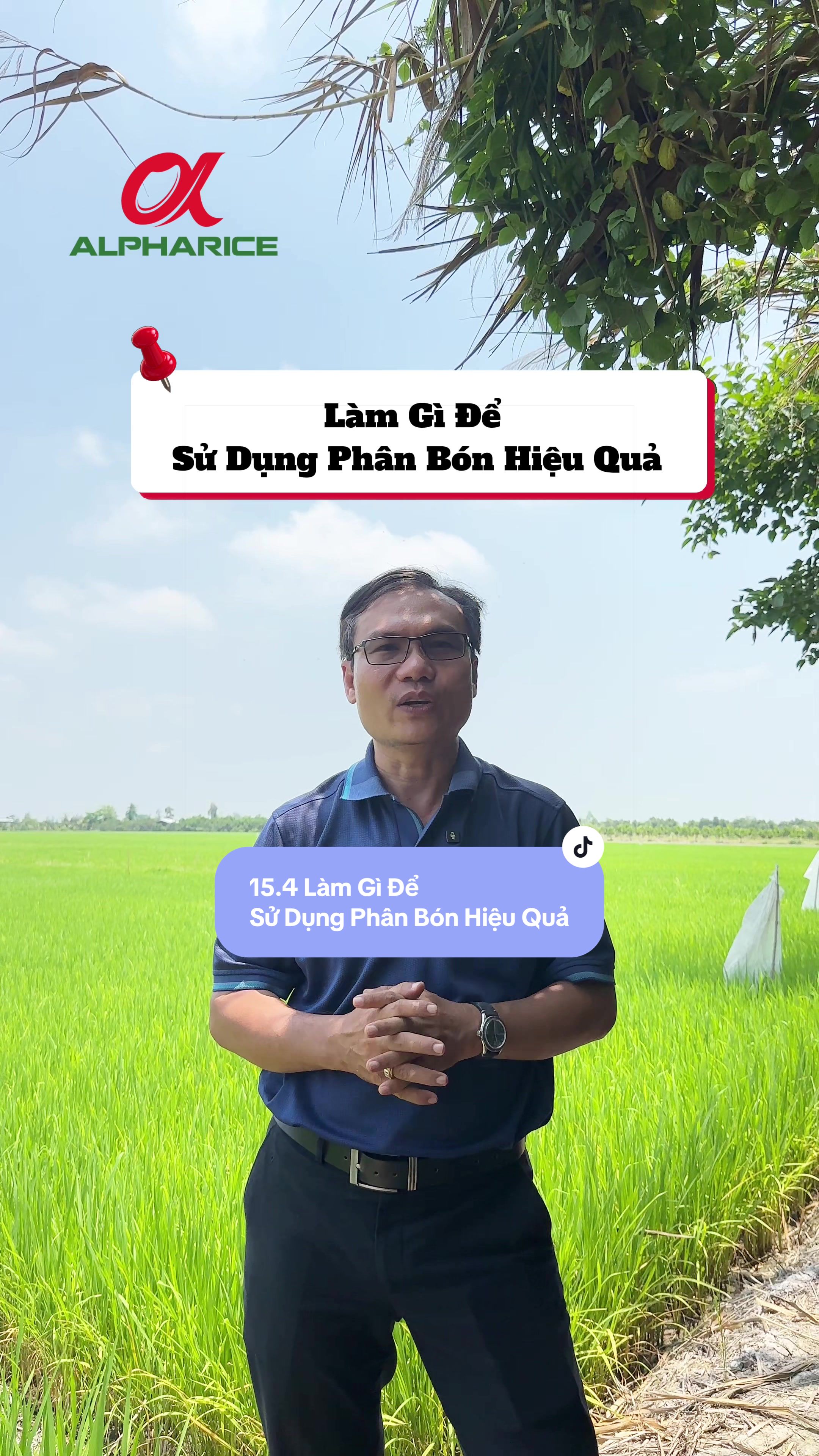 Làm gì để sử dụng phân bón hiệu quả?