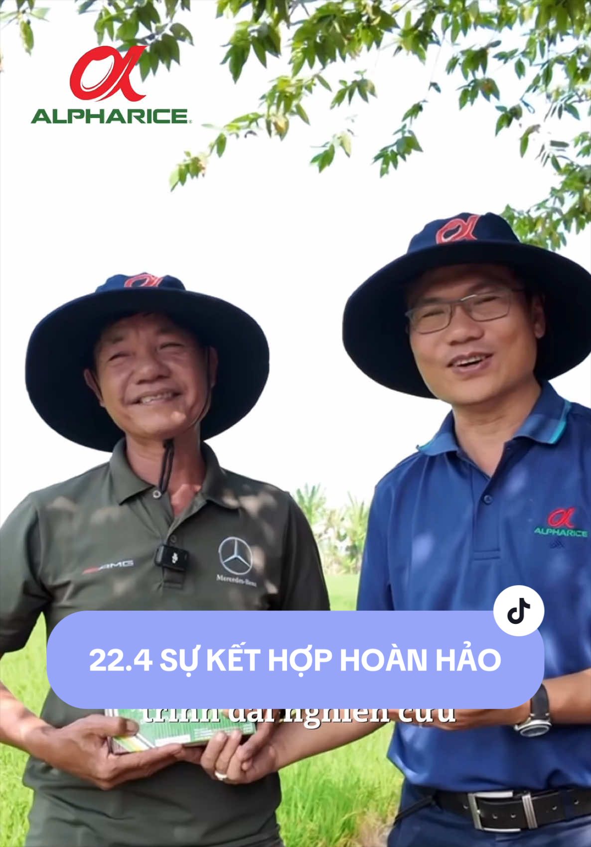 Sự kết hợp hoàn hảo của Bộ Ba có trong Bự Đòng Đùm Bông