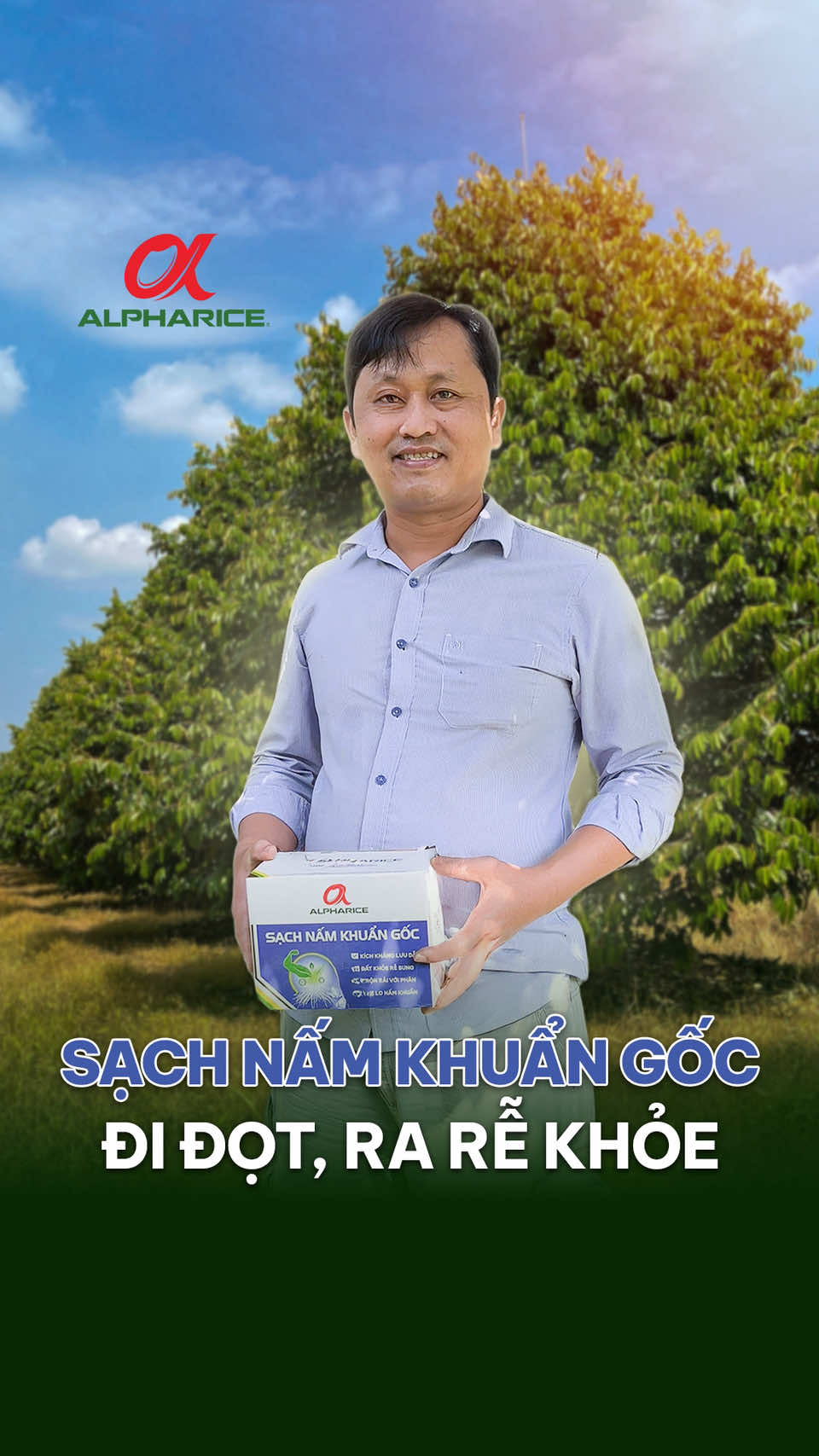 Nhà nông trãi nghiệm Sạch Nấm Khuẩn Gốc và tiếp tục tưới lần 2