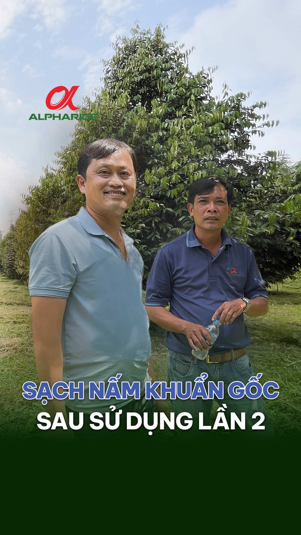 Đánh giá giải pháp Sạch Nấm Khuẩn Gốc sau khi sử dụng lần 2
