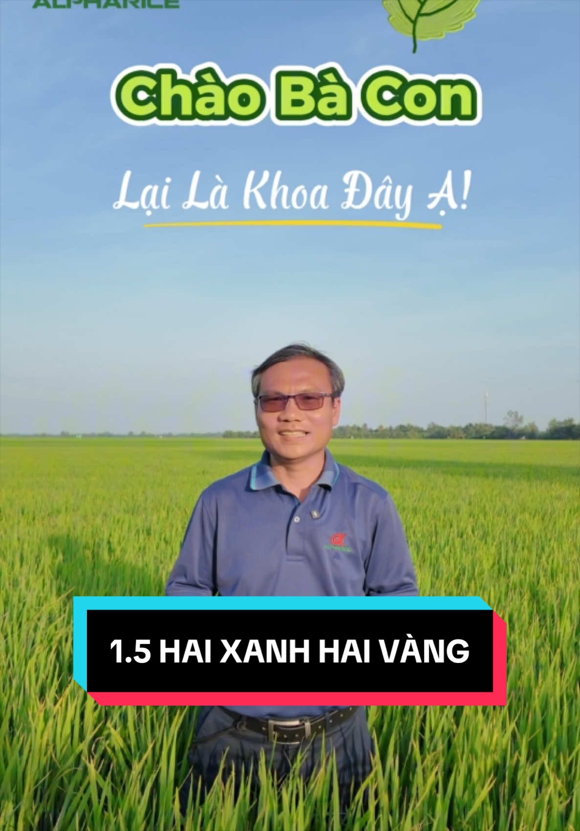 Màu lúa đẹp là màu như thế nào?
