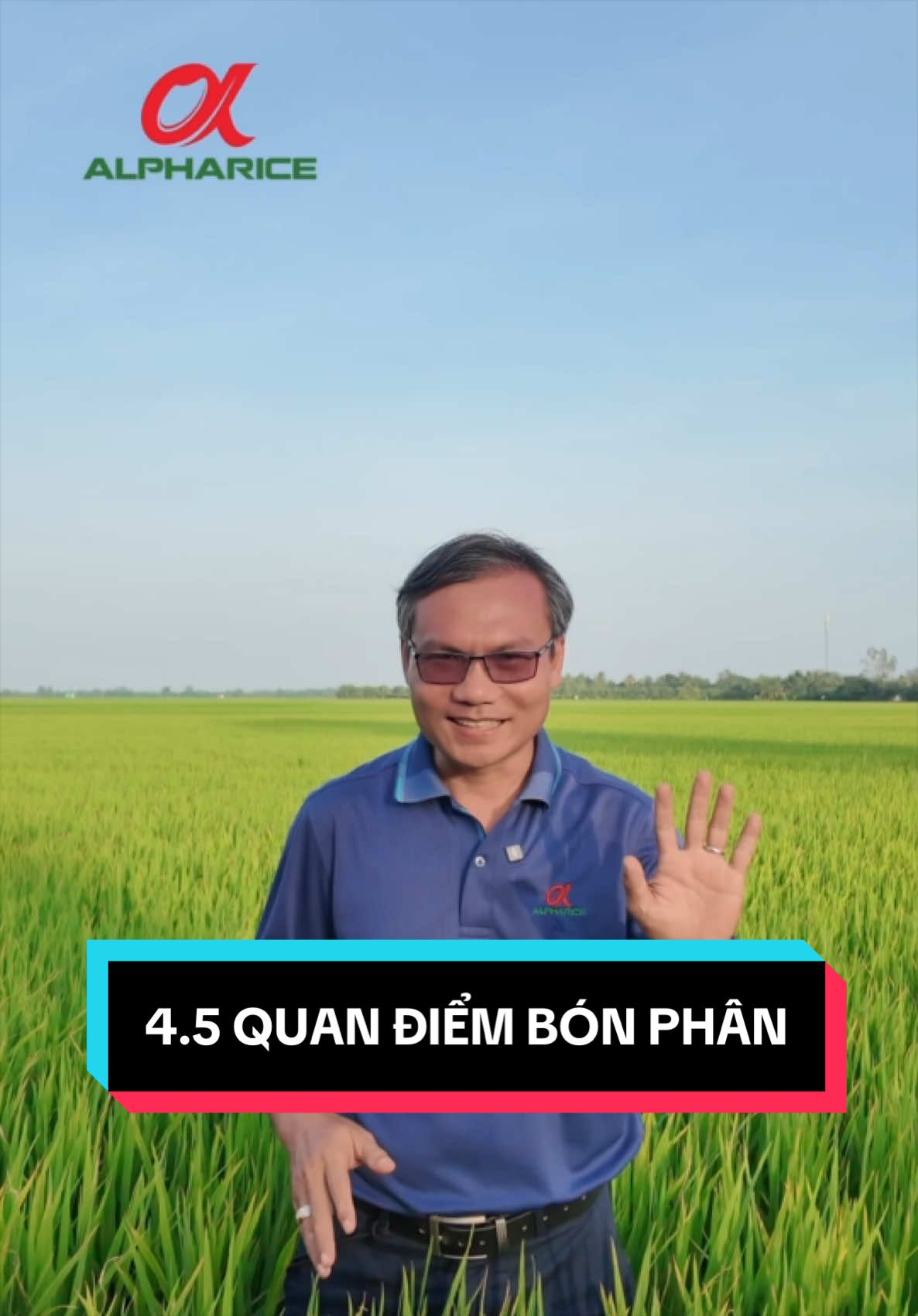 Phân tích theo quan điểm nào hợp lý?