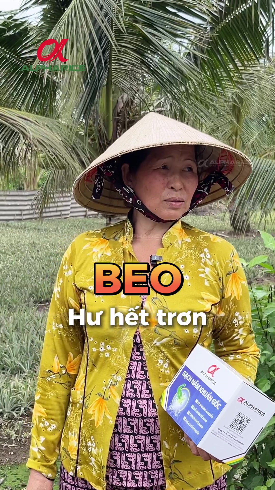 Cô Hồng chia sẻ nổi lo khóm bệnh đỏ lá, thối rễ tại Cần Thơ