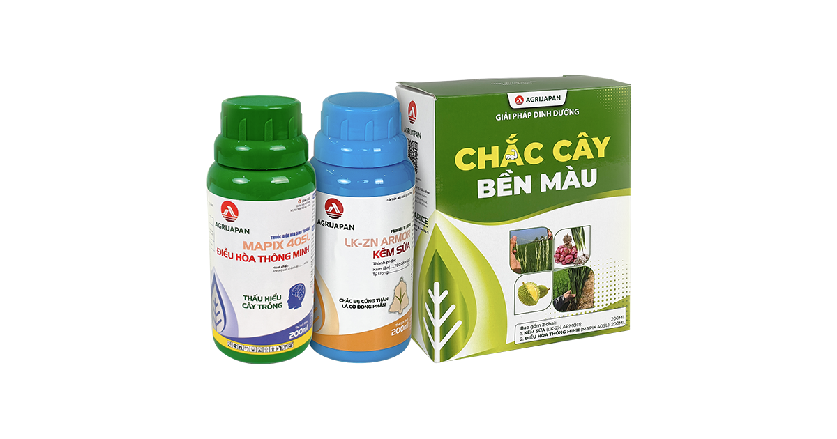 CHẮC CÂY BỀN MÀU