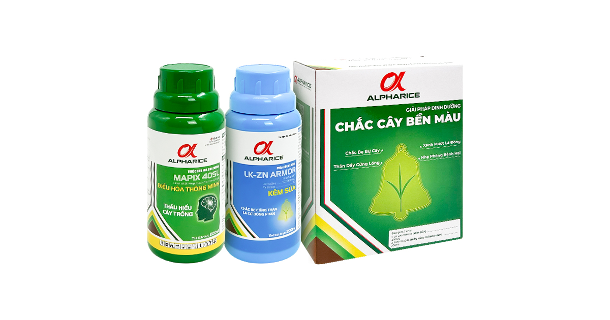 CHẮC CÂY BỀN MÀU