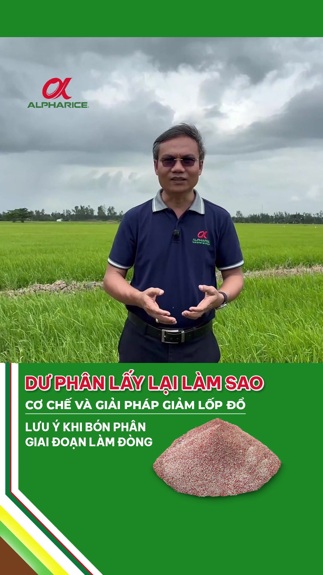 DƯ PHÂN LẤY LẠI LÀM SAO?  CƠ CHẾ VÀ GIẢI PHÁP GIẢM LỐP ĐỔ