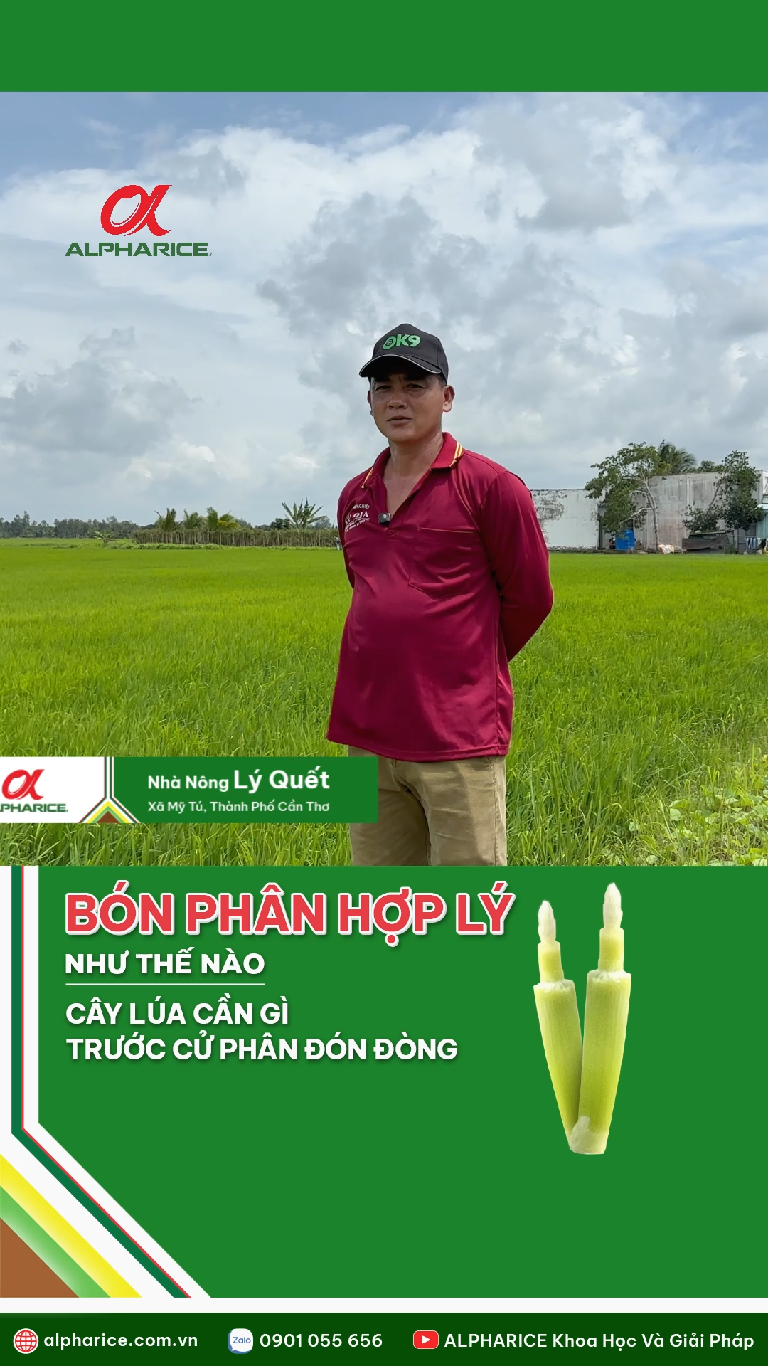BÓN PHÂN HỢP LÝ NHƯ THẾ NÀO?