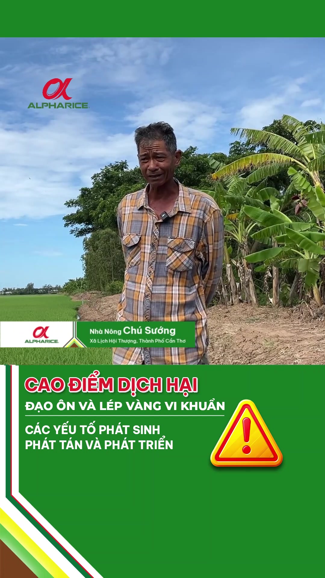 Chia sẻ của nhà nông về tình hình dịch hại