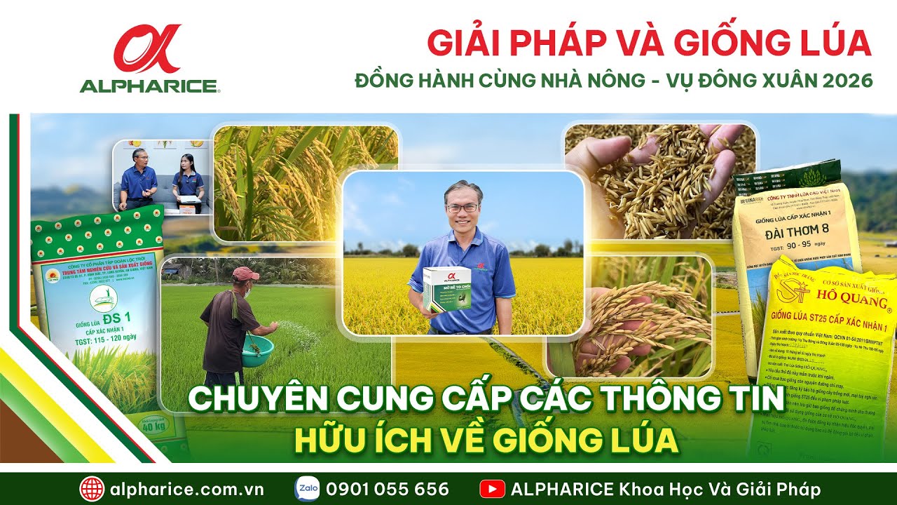 CHƯƠNG TRÌNH "GIẢI PHÁP VÀ GIỐNG LÚA" CHUYÊN CUNG CẤP CÁC THÔNG TIN HỮU ÍCH VỀ GIỐNG LÚA
