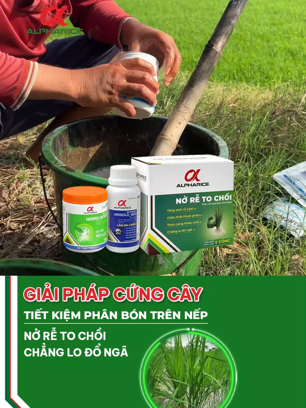 Giải pháp NỞ RỄ TO CHỒI - CHẲNG LO ĐỖ NGÃ