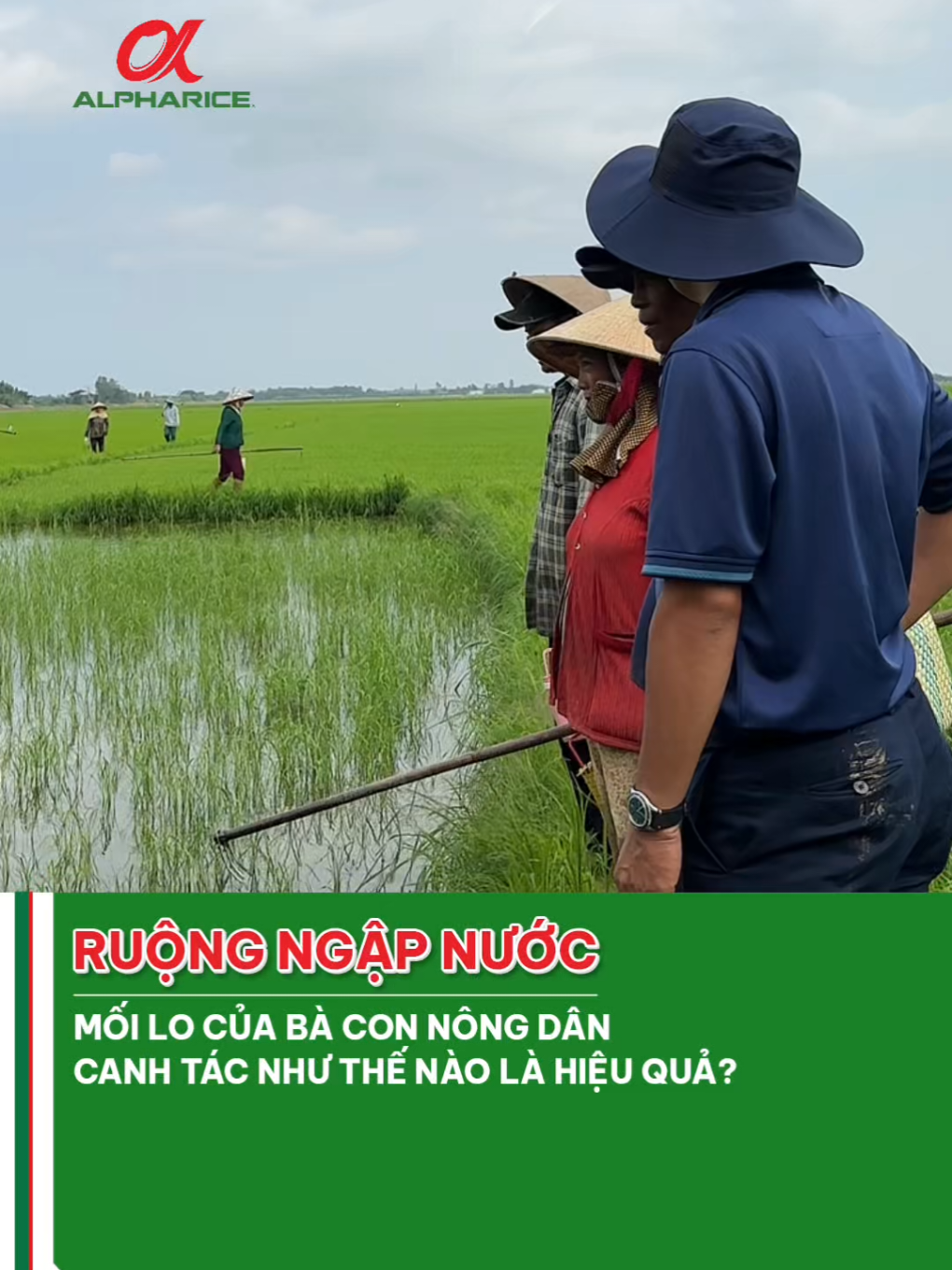 Ruộng ngập nước, nổi lo trăn trở về của bà con nông dân