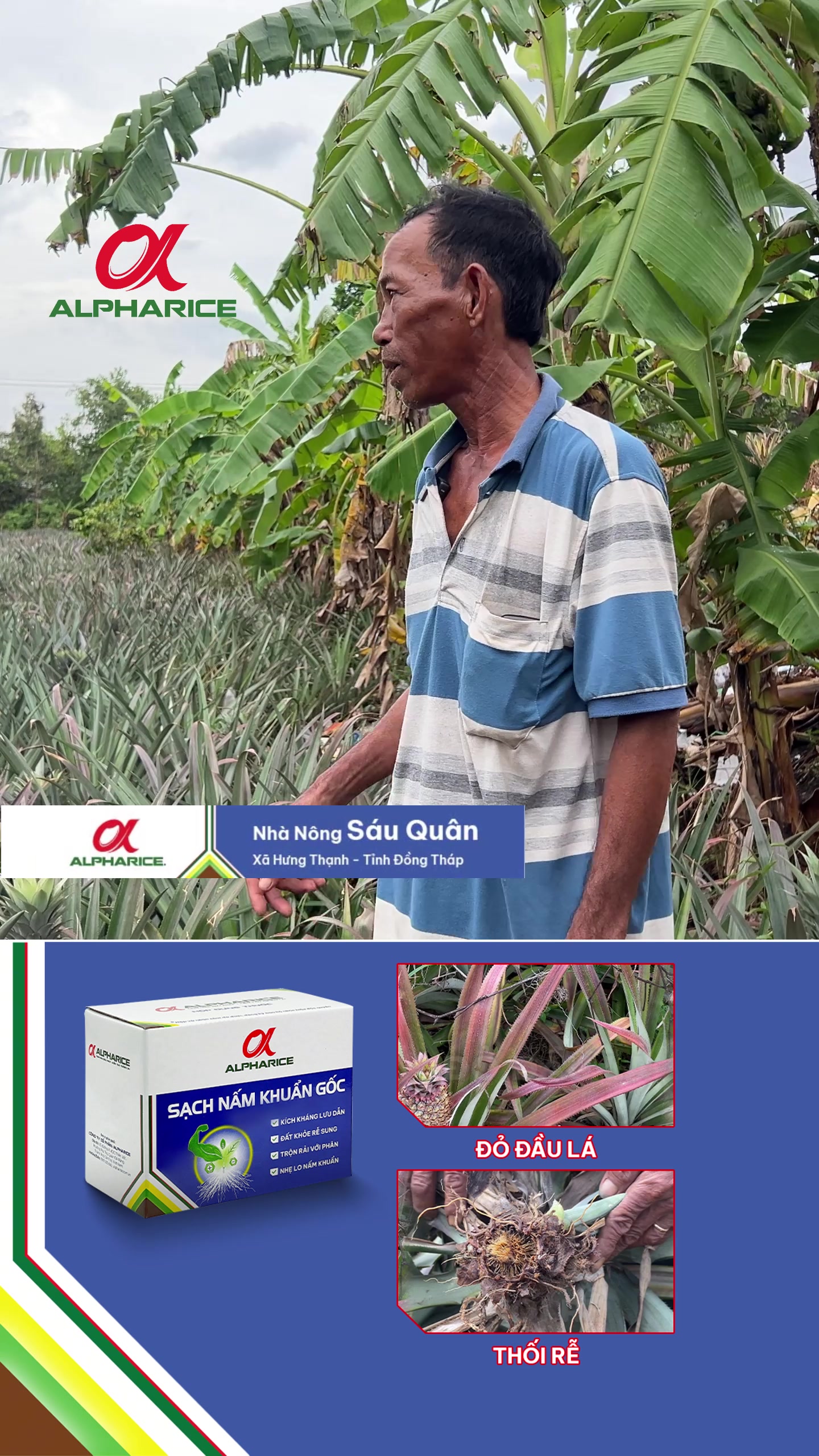 Chia sẻ thực tế của bà con sau khi đã sử dụng Sạch Nấm Khuẩn Gốc 6 ngày