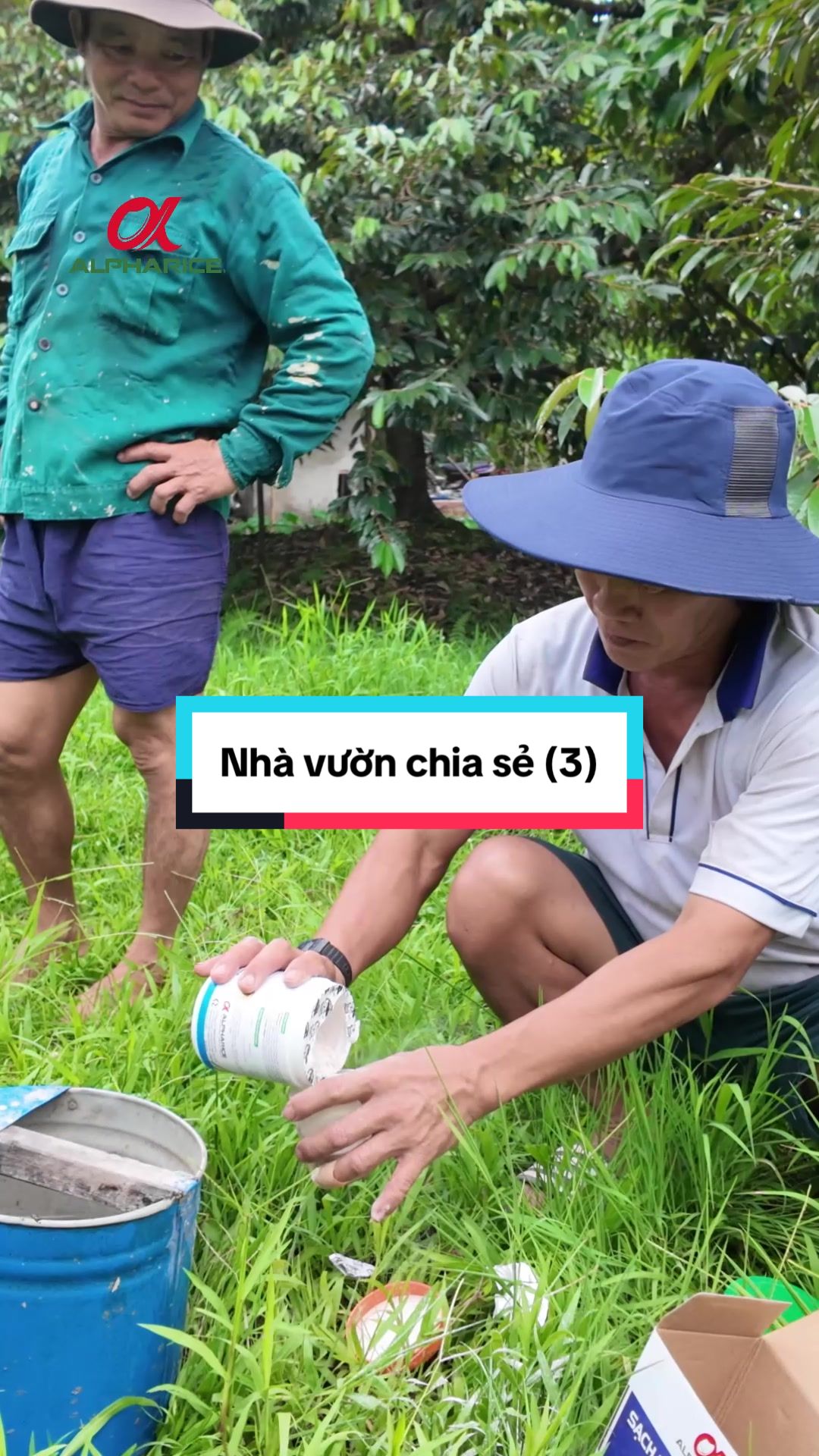 Hiệu quả sản phẩm của Nấm Khuẩn Gốc, được phân phối bởi công ty ALPHARICE