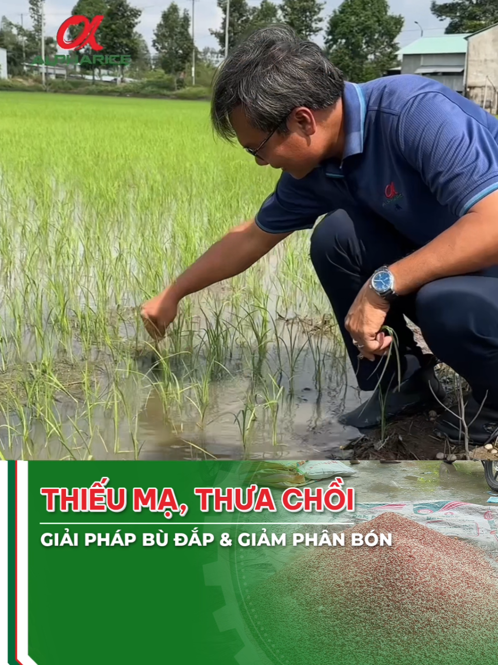 Làm thế nào để giữ đủ số lượng trên các đơn vị hiển thị mà vẫn tối ưu hóa phân tích số lượng?