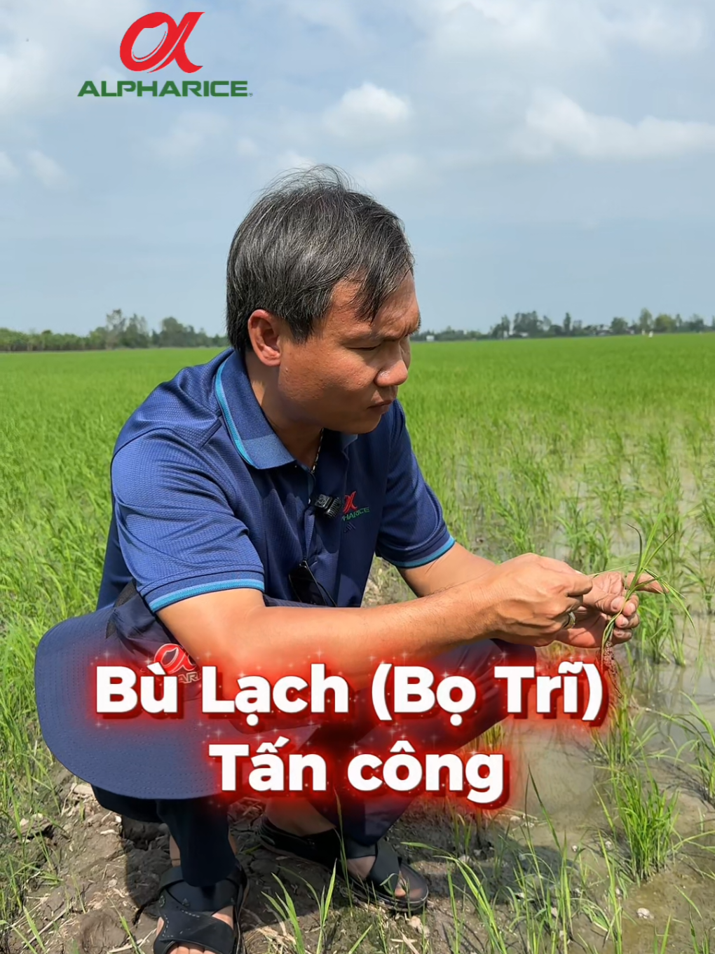 Bù Lạch hay còn gọi là Bọ Trĩ. Bà con nên ngủ trong giai đoạn đầu này nhé!