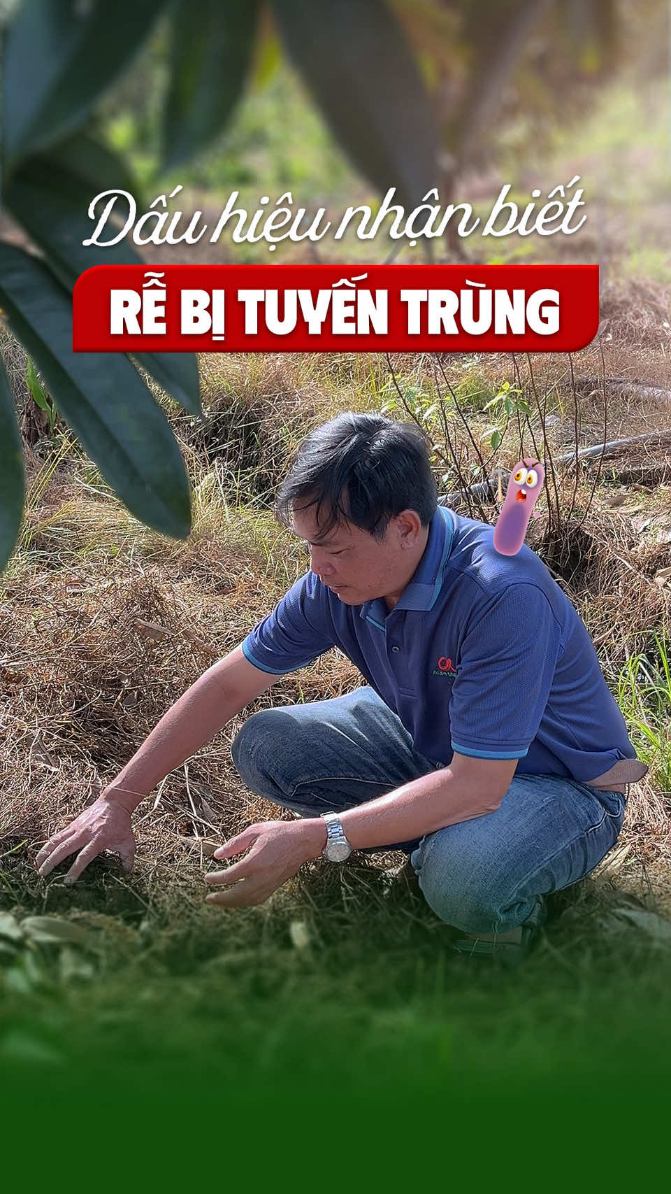 Tấn công tuyến tính được đặt dấu hiệu