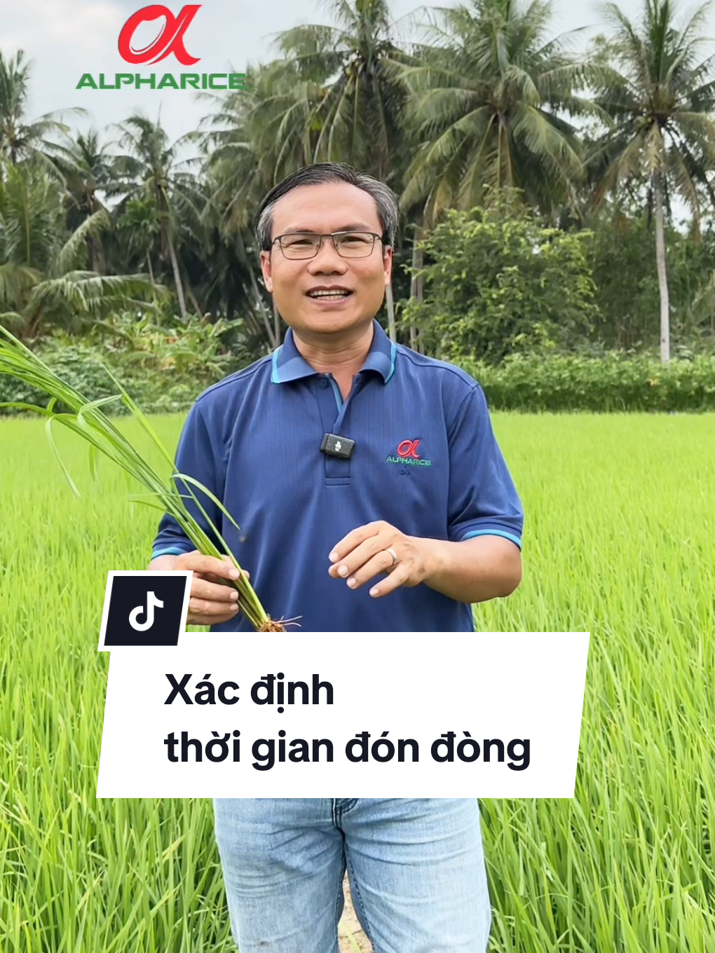 Cách xác định thời gian có đòn chính xác nhất?