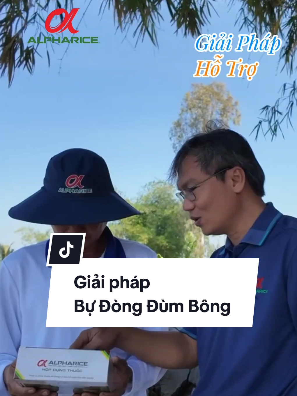 Giải pháp hỗ trợ giai đoạn làm đòng - Bự Đòng Đùm Bông