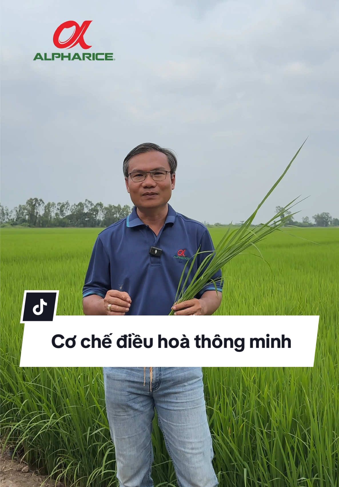 Các cơ chế có trong Giải Pháp Bự Đòng Đùm Bông Bà Con vẫn chưa được biết đến?