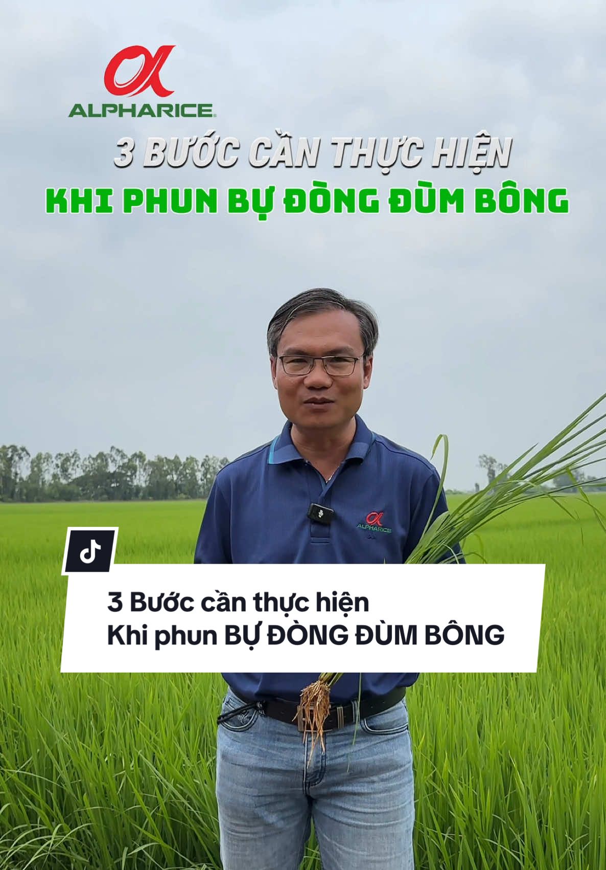 3 bước cần thực hiện khi phun Bộ Giải Pháp Bự Đòng Đùm Bông
