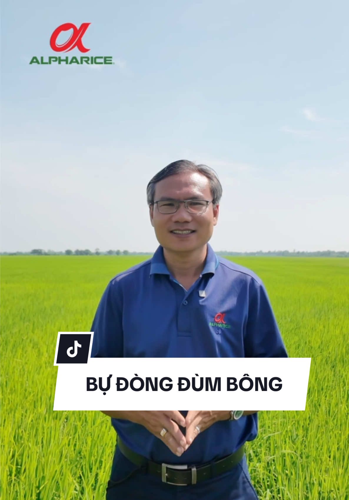 Giải pháp Bự Đòng Đùm Bông