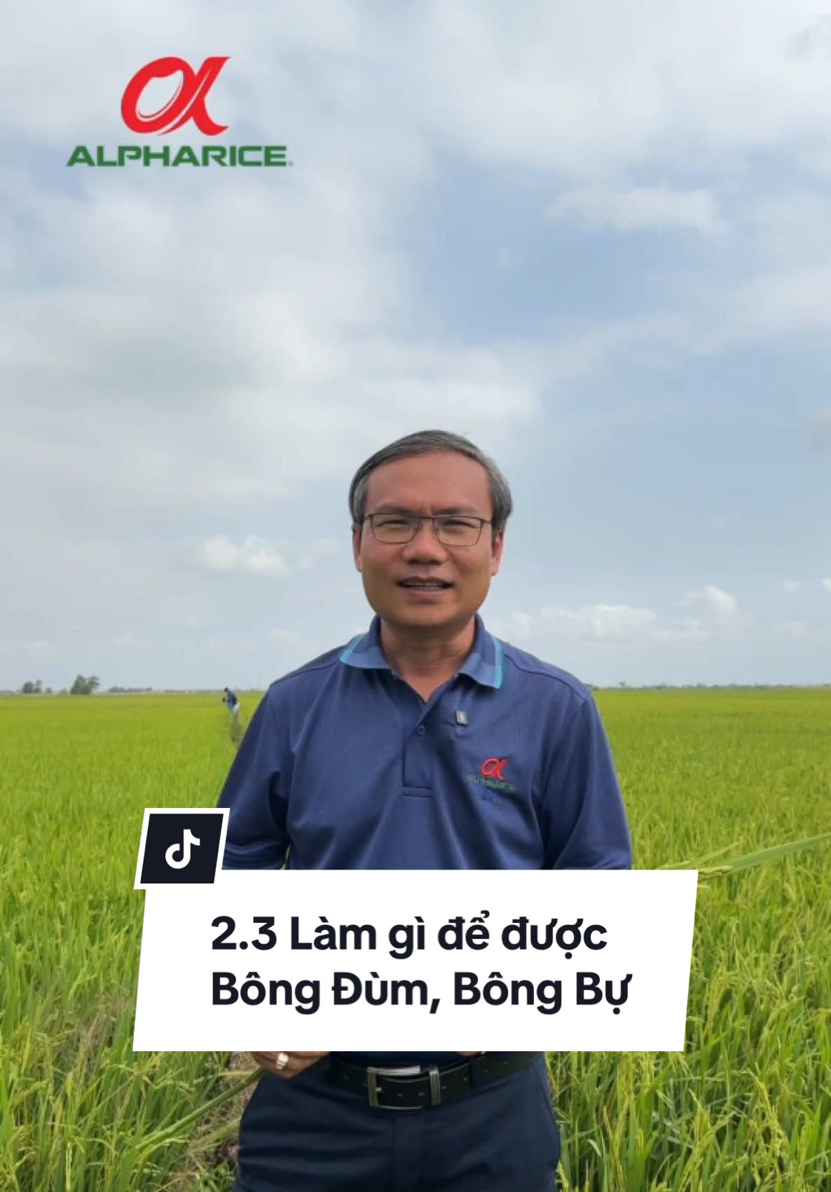Làm gì để Bông Đùm, Bông Bự