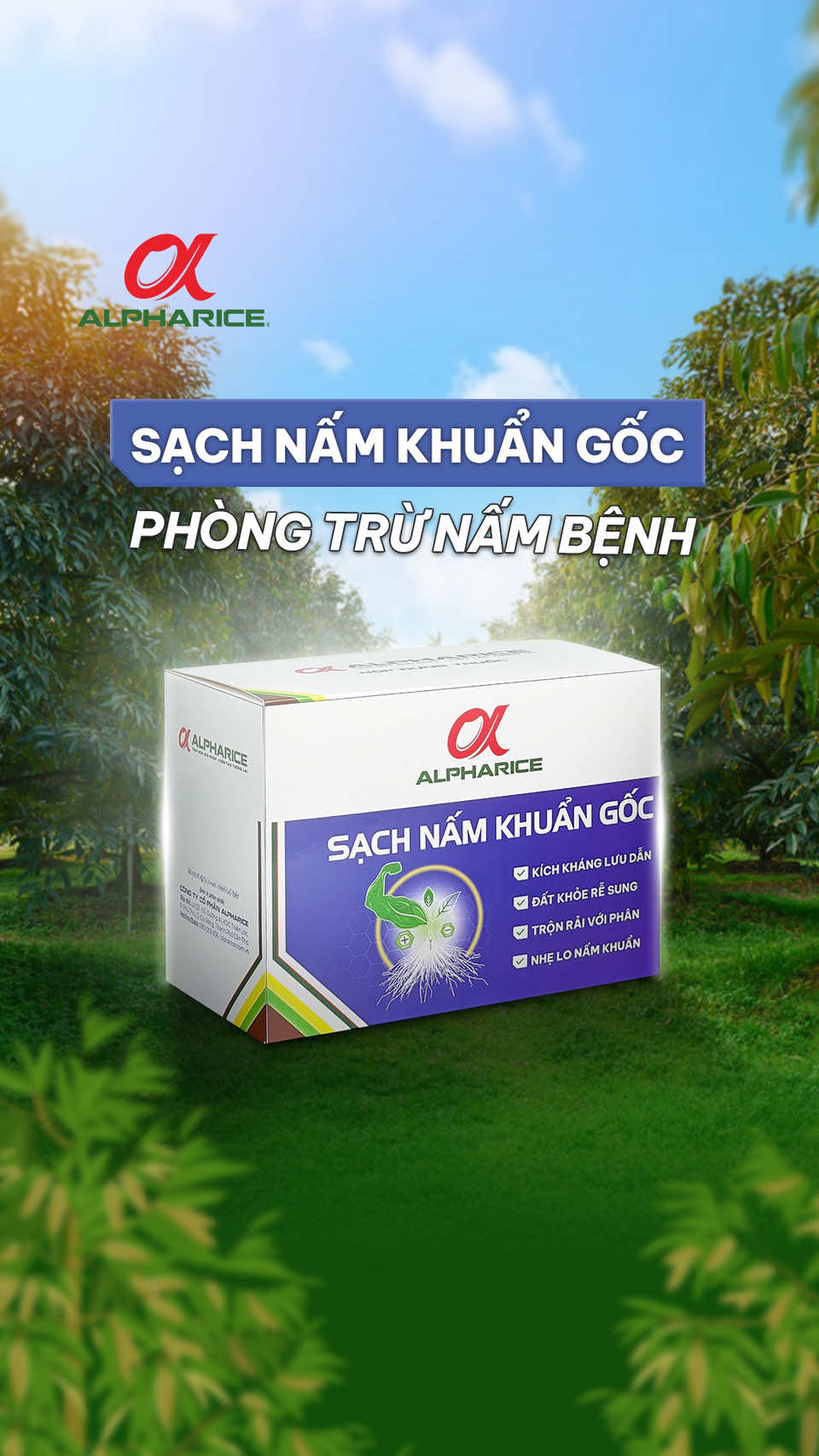 Sạch Nấm Khuẩn Gốc Phòng Trừ Nấm Bệnh