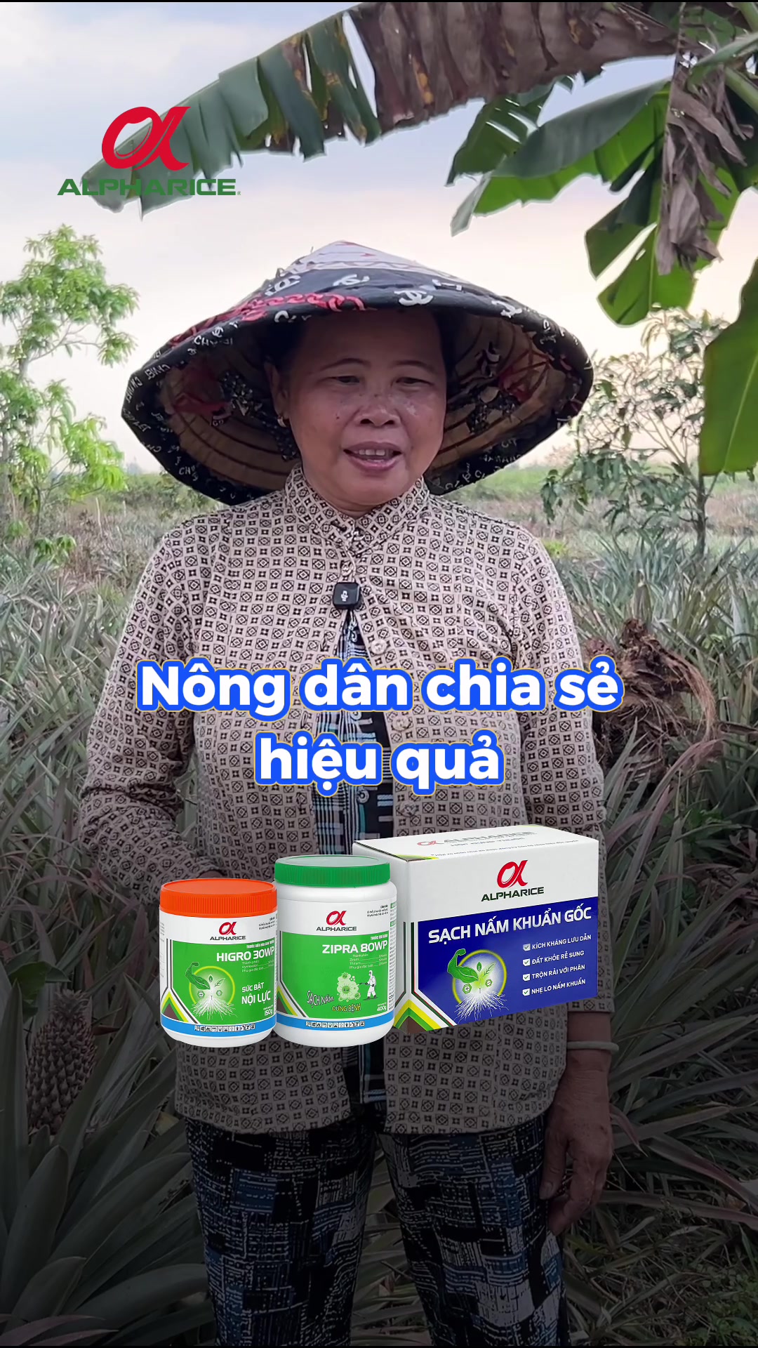 Thím Sáu chia sẻ hiệu quả của Sạch Nấm Khuẩn Gốc khi khóm bệnh đỏ lá, thối rễ