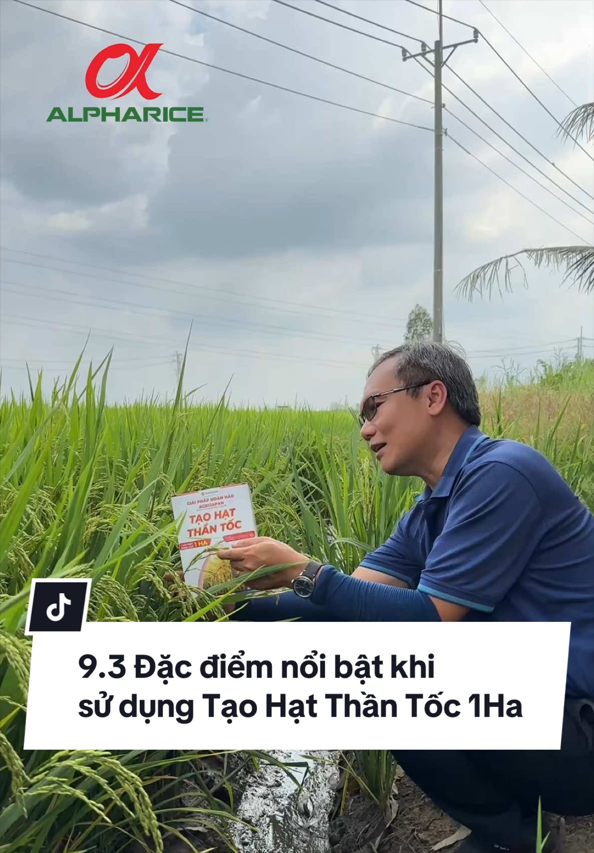 Những đặc điểm nổi bật khi sử dụng Tạo Hạt Thần Tốc 1Ha giai đoạn Trổ Chín
