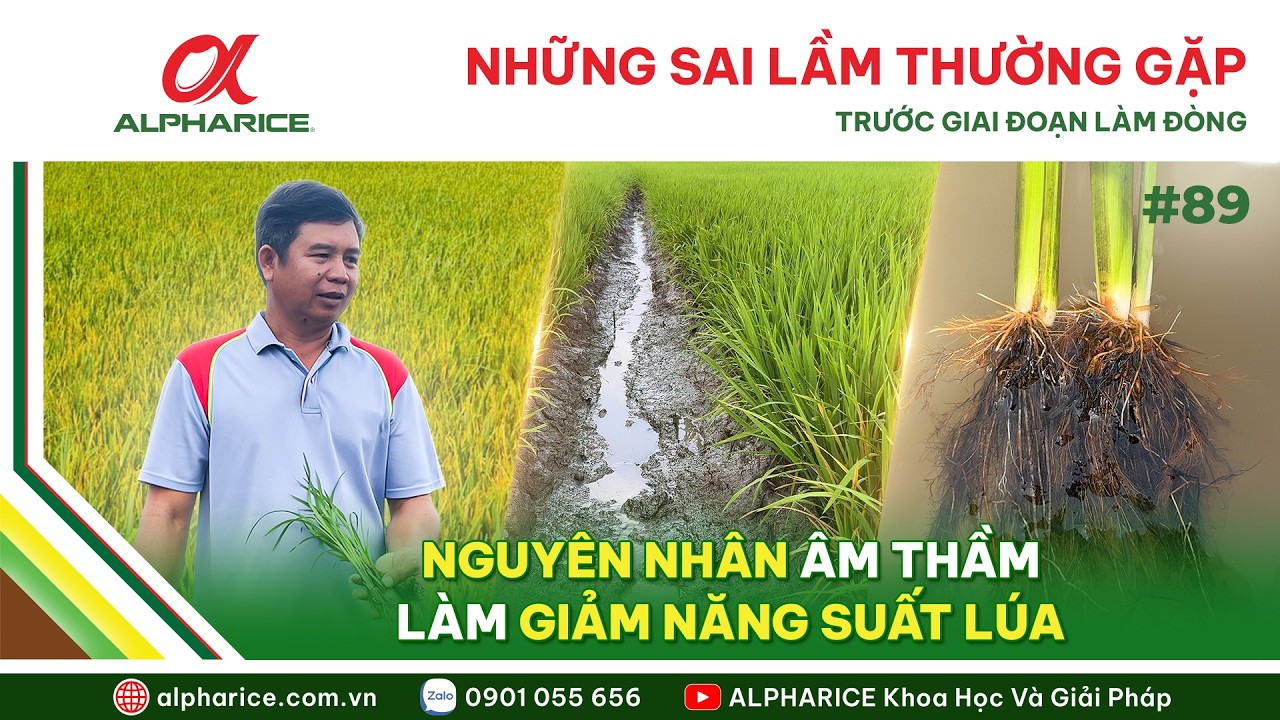 NHỮNG SAI LẦM THƯỜNG GẶP TRƯỚC GIAI ĐOẠN ĐÓN ĐÒNG