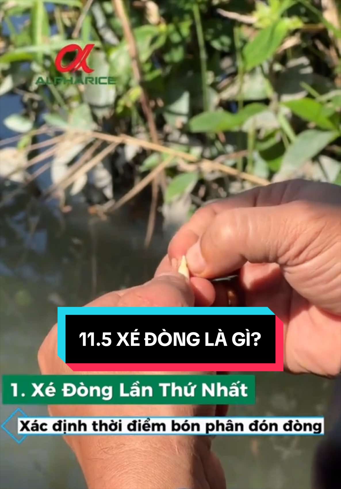 Xé Đòng có  phải là cách thức kiểm tra chính xác nhất không?