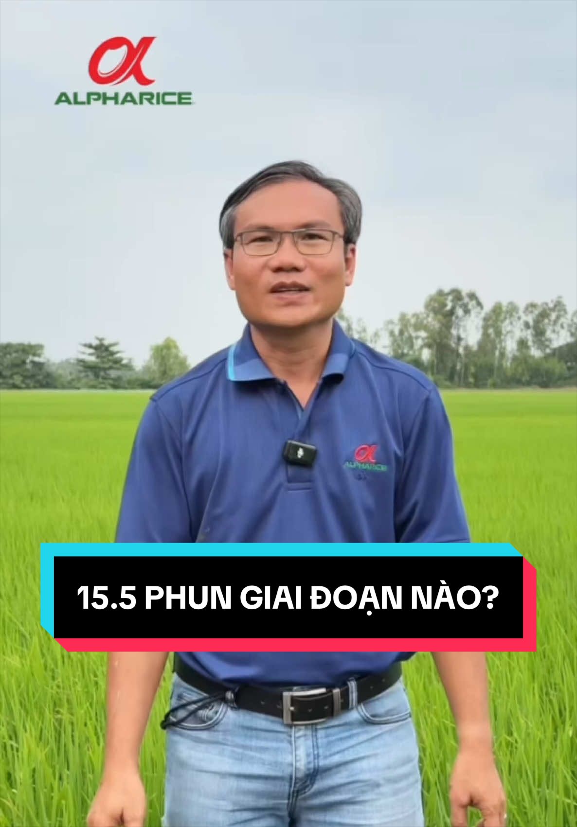 Làm gì để tăng cường giai đoạn đón đòng?