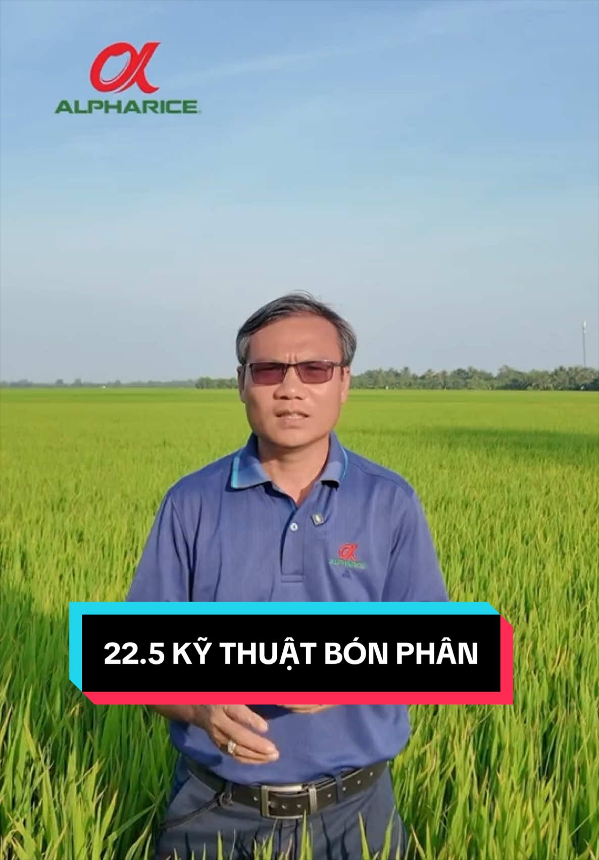 Kỹ thuật bón phân hợp lý trong nhiệm vụ Hè Thu 2026